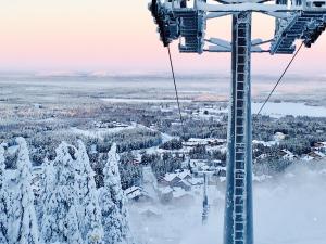 LEVI Chalets kolmio 65 m2 ylin kerros