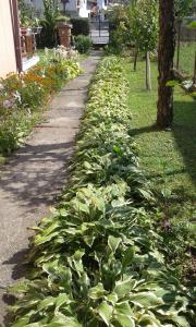 Apartman Anđelina Vrnjačka Banja