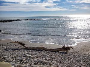 Hotels Hotel Les Palmiers En Camargue : photos des chambres