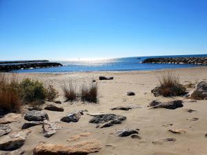 Hotels Hotel Les Palmiers En Camargue : photos des chambres