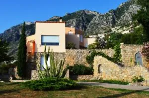 Aloe Meli - Almirón