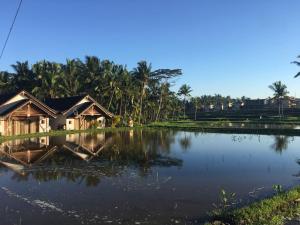 Amaya Ricefield & Jungle Cottages by Best Living