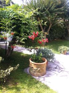 Appartements T1 ou T2 dans villa avec jardin proche Biarritz : photos des chambres