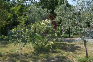 Campings Roulottes et Cabanes de Saint Cerice : photos des chambres