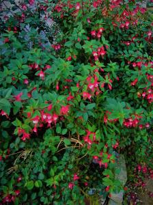 Appartement au bord de lEure