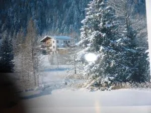 Alpenchalet - Obersteinberg