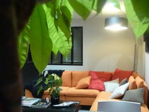 B&B / Chambres d'hotes Akoa Villa : photos des chambres