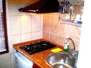 МИНИ СТУДИЯ проспект Центральный 124А, WI-FI, 1 диван 3 этаж 9 этажного дома - 尼古拉耶夫