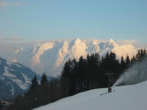 Ferienhaus Obermoser