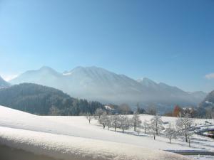 Ferienhaus Obermoser