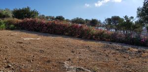 Villa Nisi Rethymno Greece