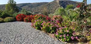 Villa Nisi Rethymno Greece