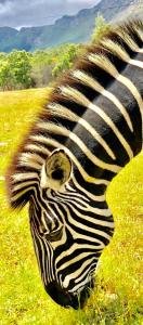 Franschhoek Country Cottages