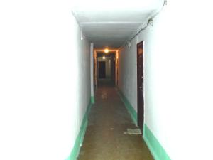 Небольшая СТУДИЯ, проспект ЦЕНТРАЛЬНЫЙ 124А, 2 дивана, 2 кресла 3 этаж 9 этажного дома Wi-Fi