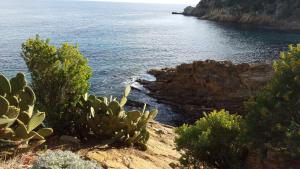 Appartements 65 Rue Pierre Rameil Appartement : photos des chambres