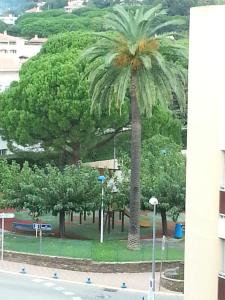 Appartements 65 Rue Pierre Rameil Appartement : photos des chambres