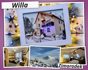 Zimorodek