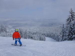 Borovets Apartment, Villa Park