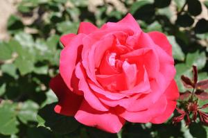 Maisons d'hotes La Maison de Line : photos des chambres