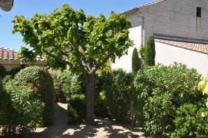Maisons d'hotes La Maison de Line : photos des chambres
