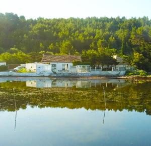 Maisons de vacances Maison de pecheur : photos des chambres