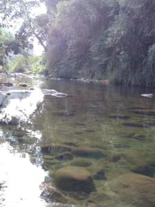 Cabañas El Toro - Radal Siete Tazas