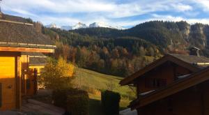 chalets-aravis : photos des chambres