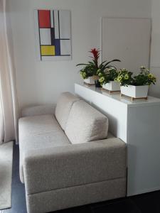 Appartements Appartement contemporain jardin & jacuzzi : photos des chambres