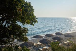 Hotel Alkyonis Olympos Greece