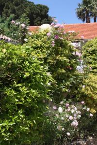 Hotels Hotel La Bienvenue : photos des chambres