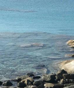 Sul Mare Sardegna Villa Nesea img26