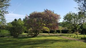 B&B / Chambres d'hotes B&B Des Histoires d'Anges - Cote Jardin : photos des chambres