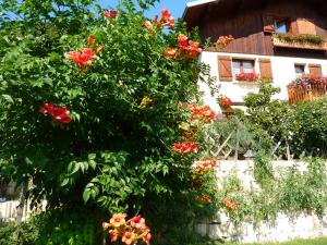 Appartements PLEIN SOLEIL appartement avec GARAGE pour SKI TROIS VALLEES et CURE THERMALE : photos des chambres