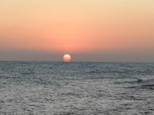 Appartamento La Rondine