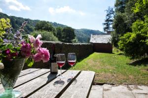 The Old House, Llwyn Madoc