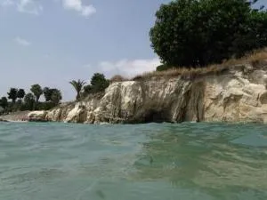 Il Mirto E La Rosa - Arenella