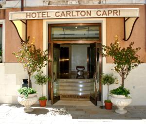 Carlton Capri hotel, 
Venice, Italy.
The photo picture quality can be
variable. We apologize if the
quality is of an unacceptable
level.