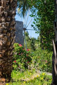 Authentic Cretan Stone Windmill Lasithi Greece