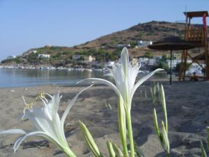 VILA INSPIRATION - ON KINI BEACH Syros Greece