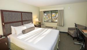 Queen Room - Disability Access room in Maple Tree Inn