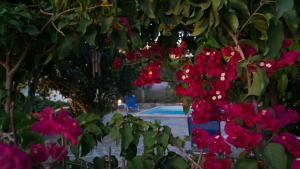 Zamaros Traditional Villa