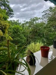 San Rafael Ecolodge - San Gerardo