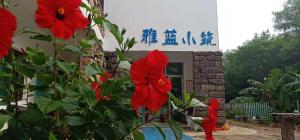 Weizhou Yalan Guest House