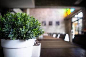 Na BaanYa Chiang Mai