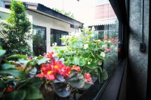 Na BaanYa Chiang Mai