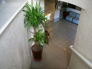 Hotels Plage des Pins : photos des chambres