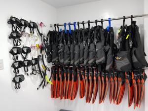 Blue Ribbon Dive Resort