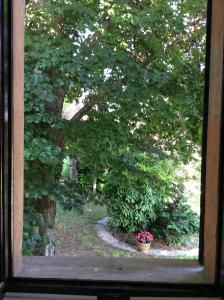 Habitación Doble con baño privado