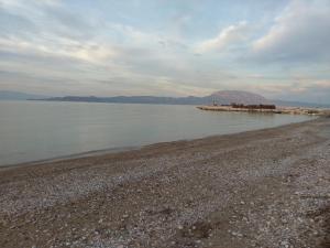 Holiday home next to orange tree orchard Korinthia Greece