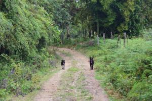 Monte La MaMa Ecolodge